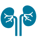 Urology