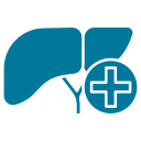 Hepatologist